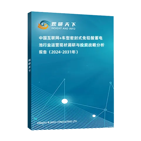 中國(guó)互聯(lián)網(wǎng)+車型密封式免鉛酸蓄電池行業(yè)運(yùn)營(yíng)現(xiàn)狀調(diào)研與投資戰(zhàn)略分析報(bào)告（2024-2031年）