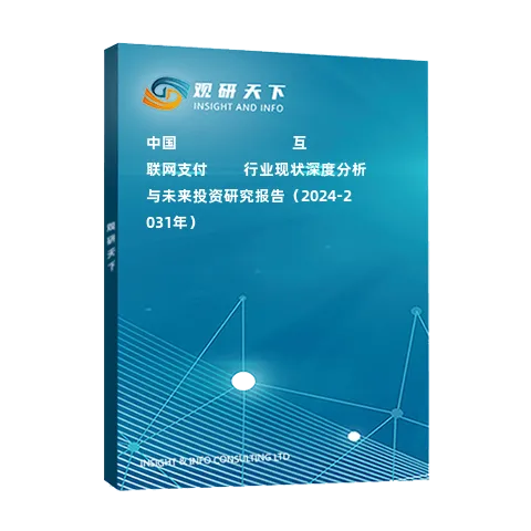 中國(guó)?????????????互聯(lián)網(wǎng)支付????行業(yè)現(xiàn)狀深度分析與未來(lái)投資研究報(bào)告（2024-2031年）